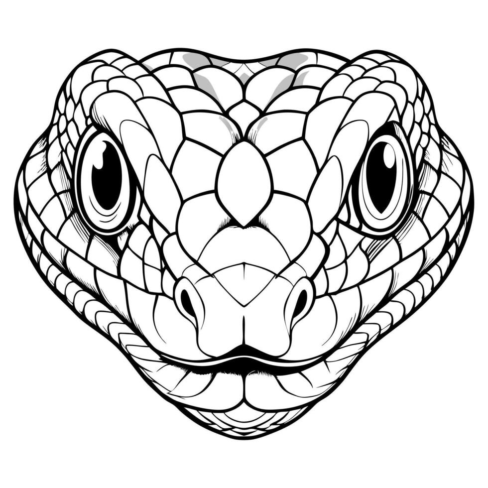 A snake head with large eyes and a white background vector