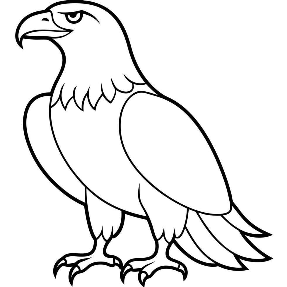 Eagle coloring pages vector