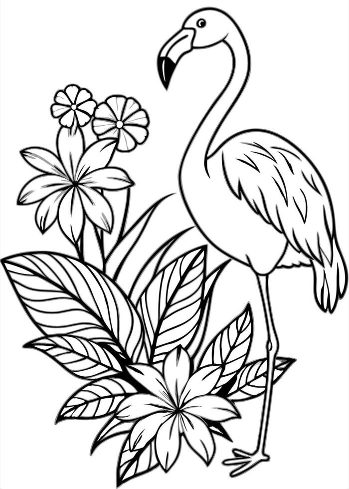 Flamingo coloring pages vector