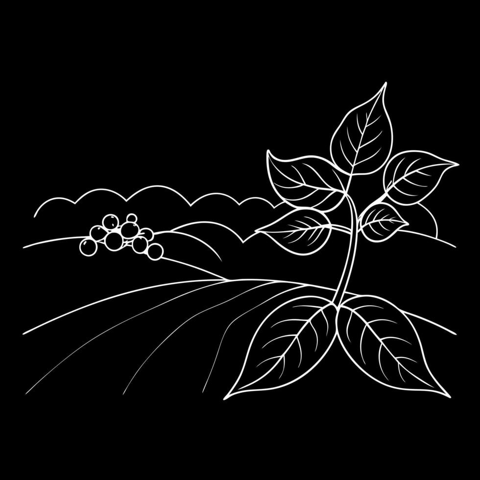 A black and white drawing of a plant with leaves vector