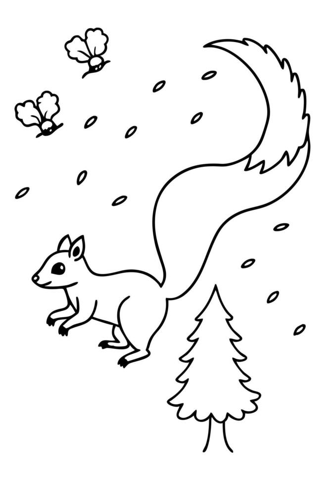 Squirrel coloring pages for kids vector
