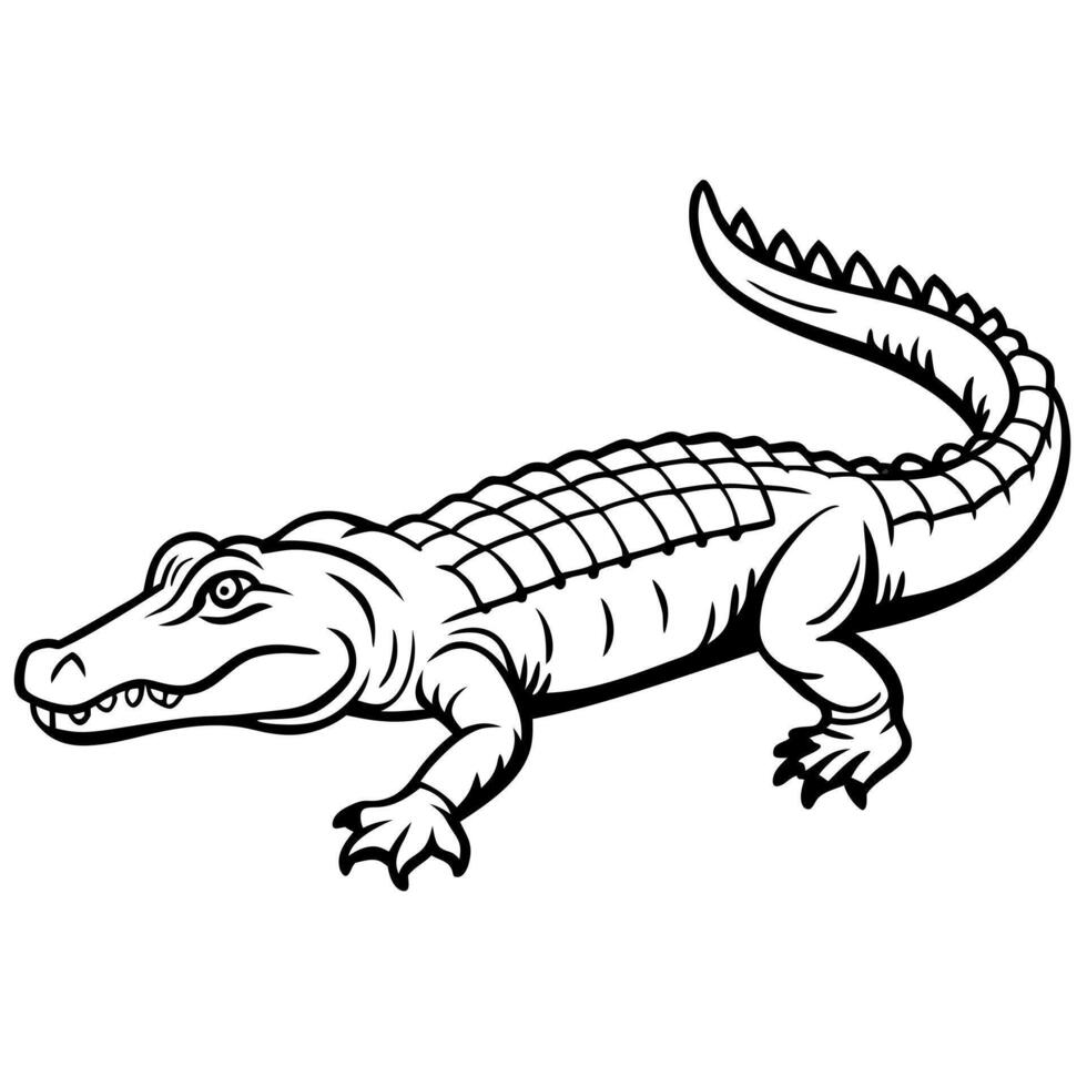 Alligator coloring pages free printable coloring pages vector