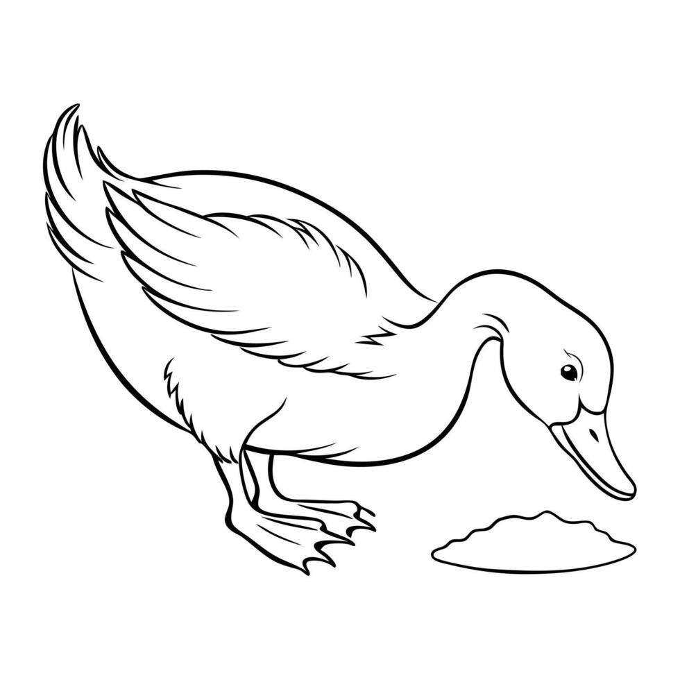 A duck eating a grain of rice coloring page vector