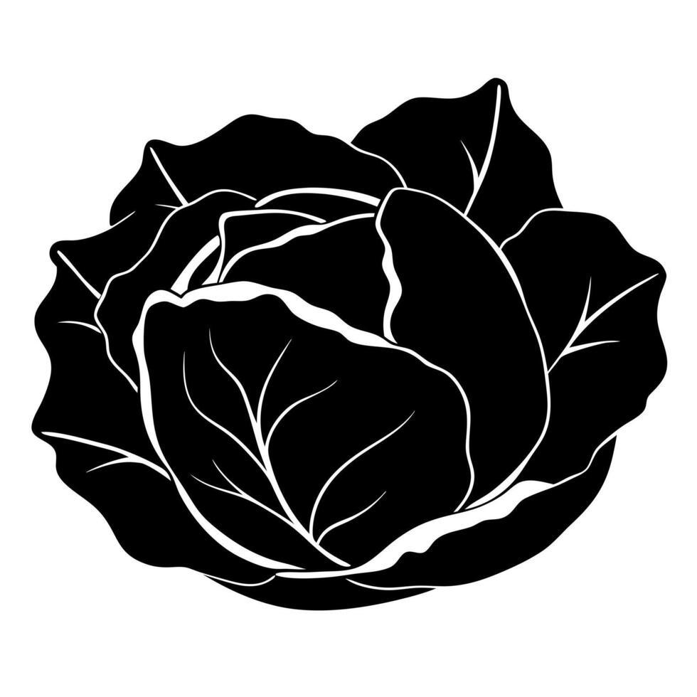 Black and white cabbage flower icon illustration vector