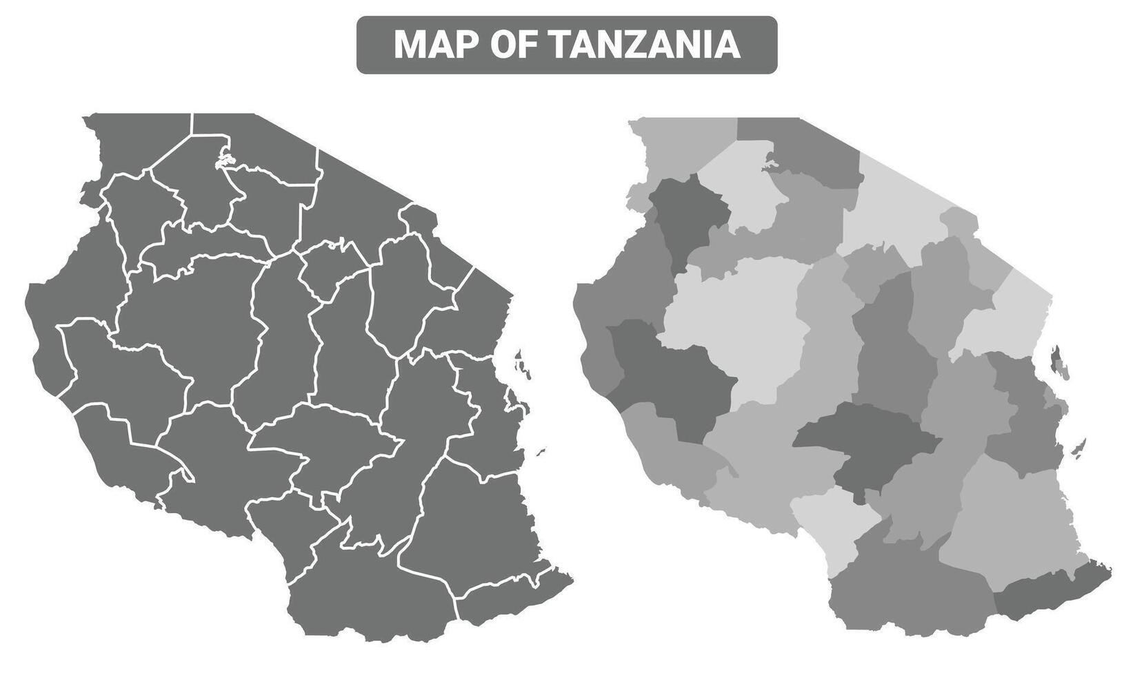 Greyscale Tanzania political map with borders of region illustration set vector