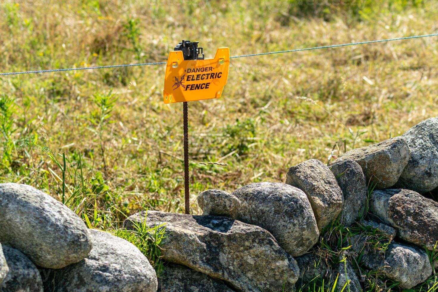 electric shepherd, electrified line to keep animals in a closed herd photo