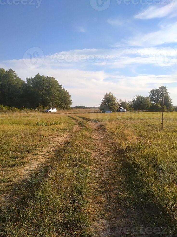 A serene country path leading into a lush green field under a blue sky on a sunny afternoon photo