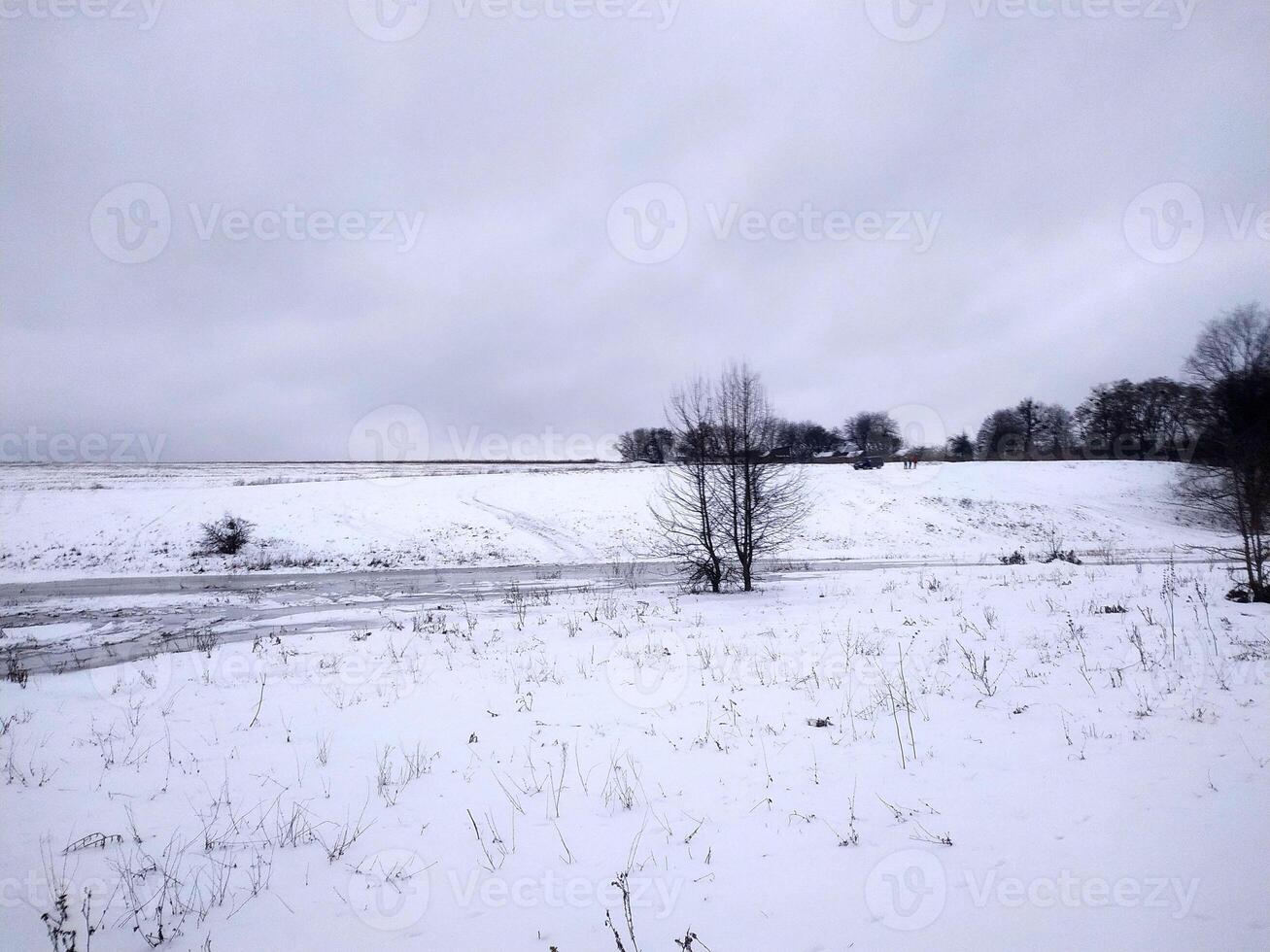 A serene winter landscape with snow-covered fields and bare trees under a gray sky near a winding path at dusk photo