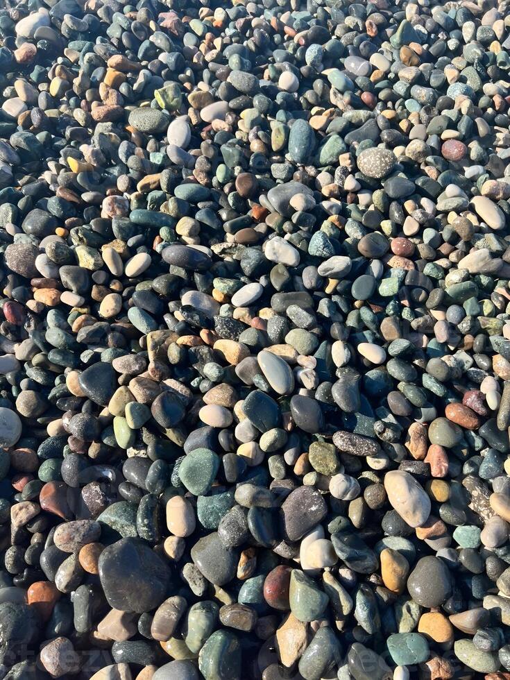 Colorful pebbles covering the beach surface in a natural arrangement creating a textured outdoor scene photo