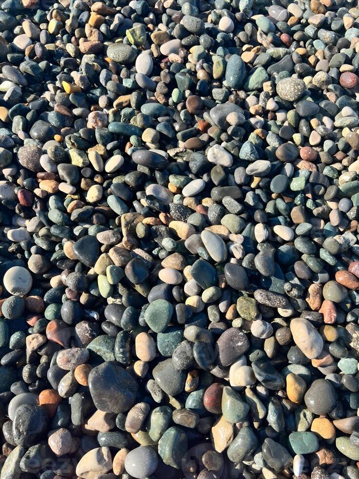Natural collection of smooth colorful pebbles forming a textured surface on a coastal beach photo