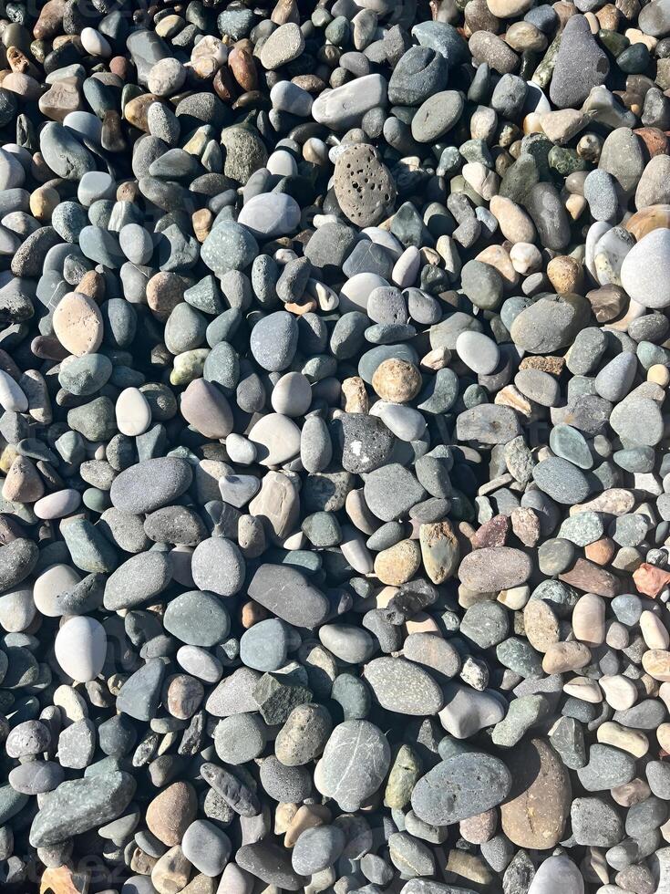 Assorted smooth pebbles spread across a natural beach surface creating a textured coastal landscape photo