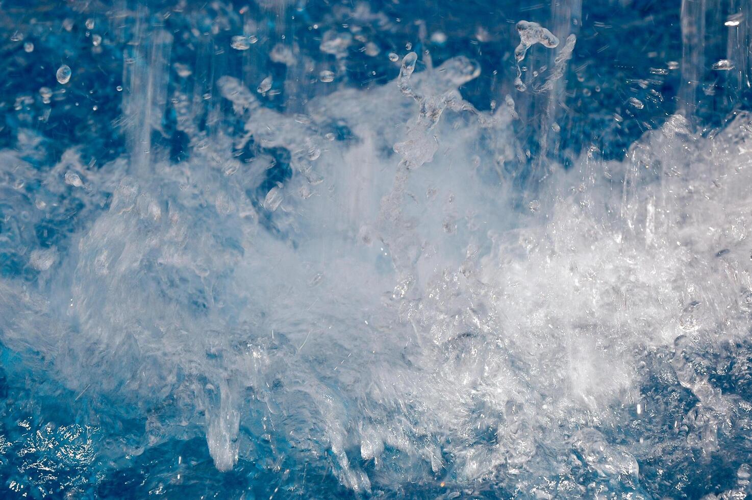 wild water splash photo