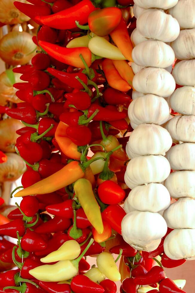 Spices hanging in rows photo