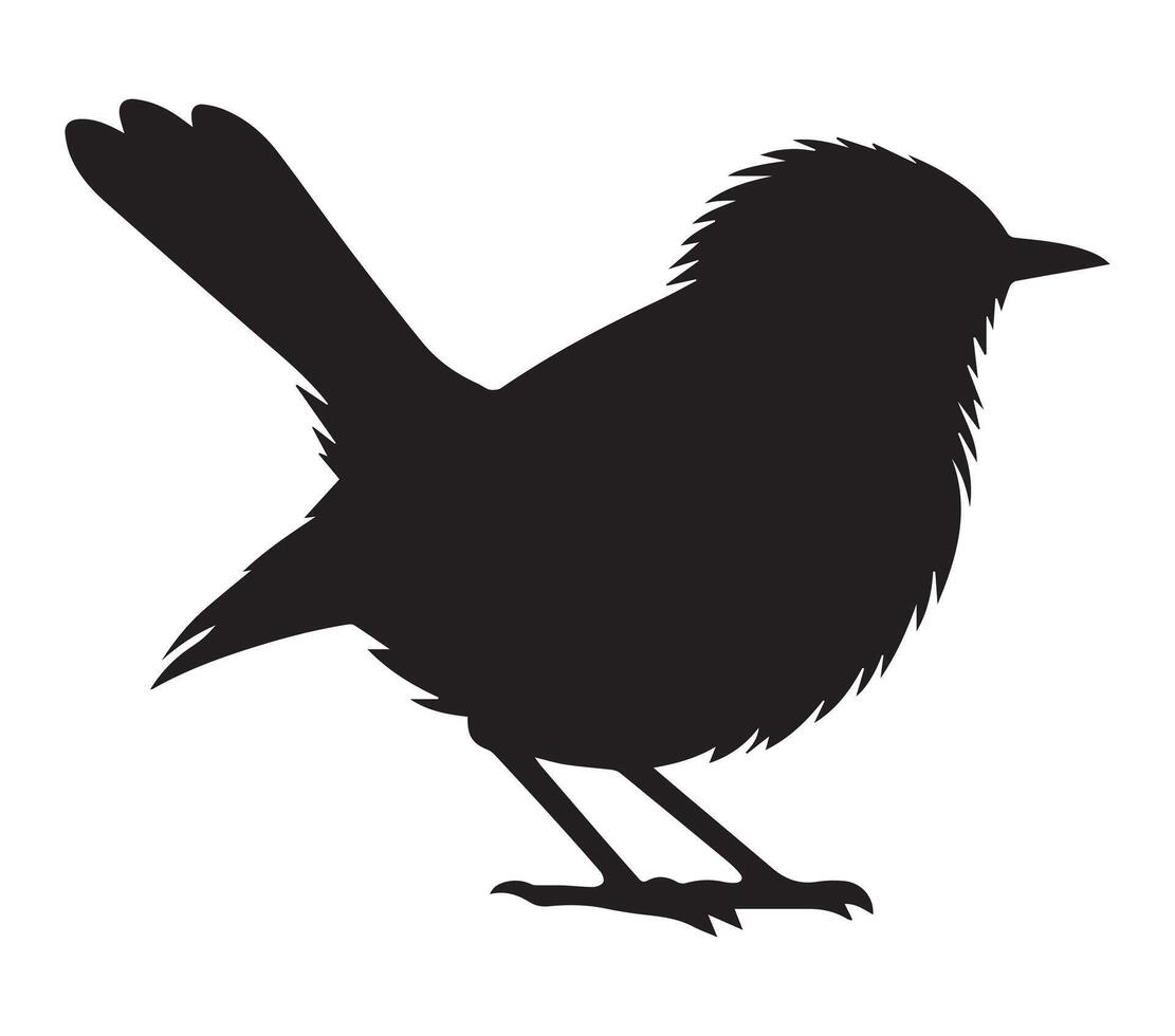 African Red-eyed Bulbul silhouette on white background vector