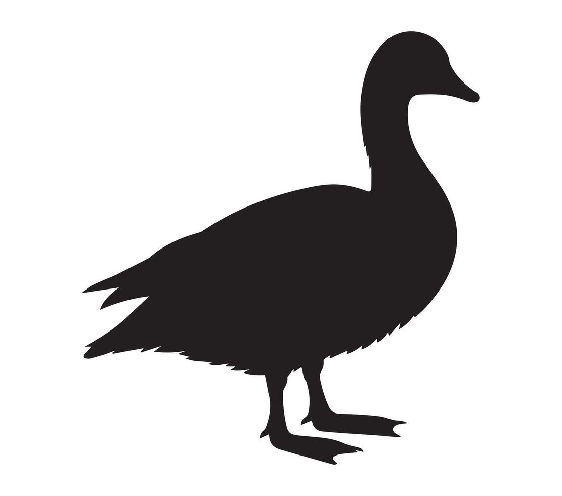 African Pygmy Goose silhouette on white background vector