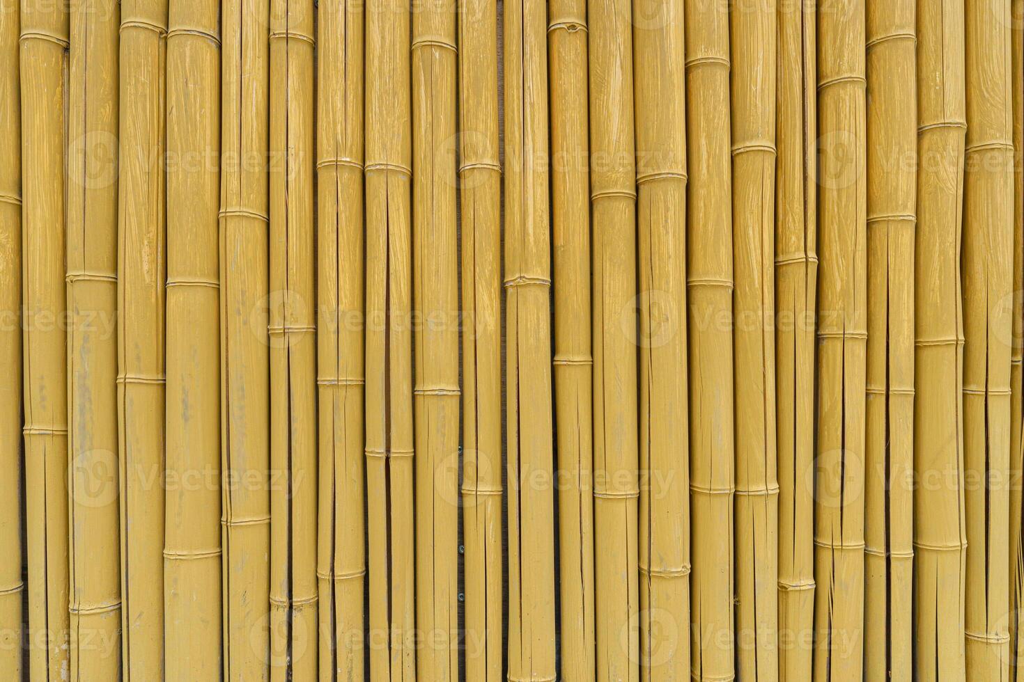 Wall of yellow bamboo. Abstract natural background. photo