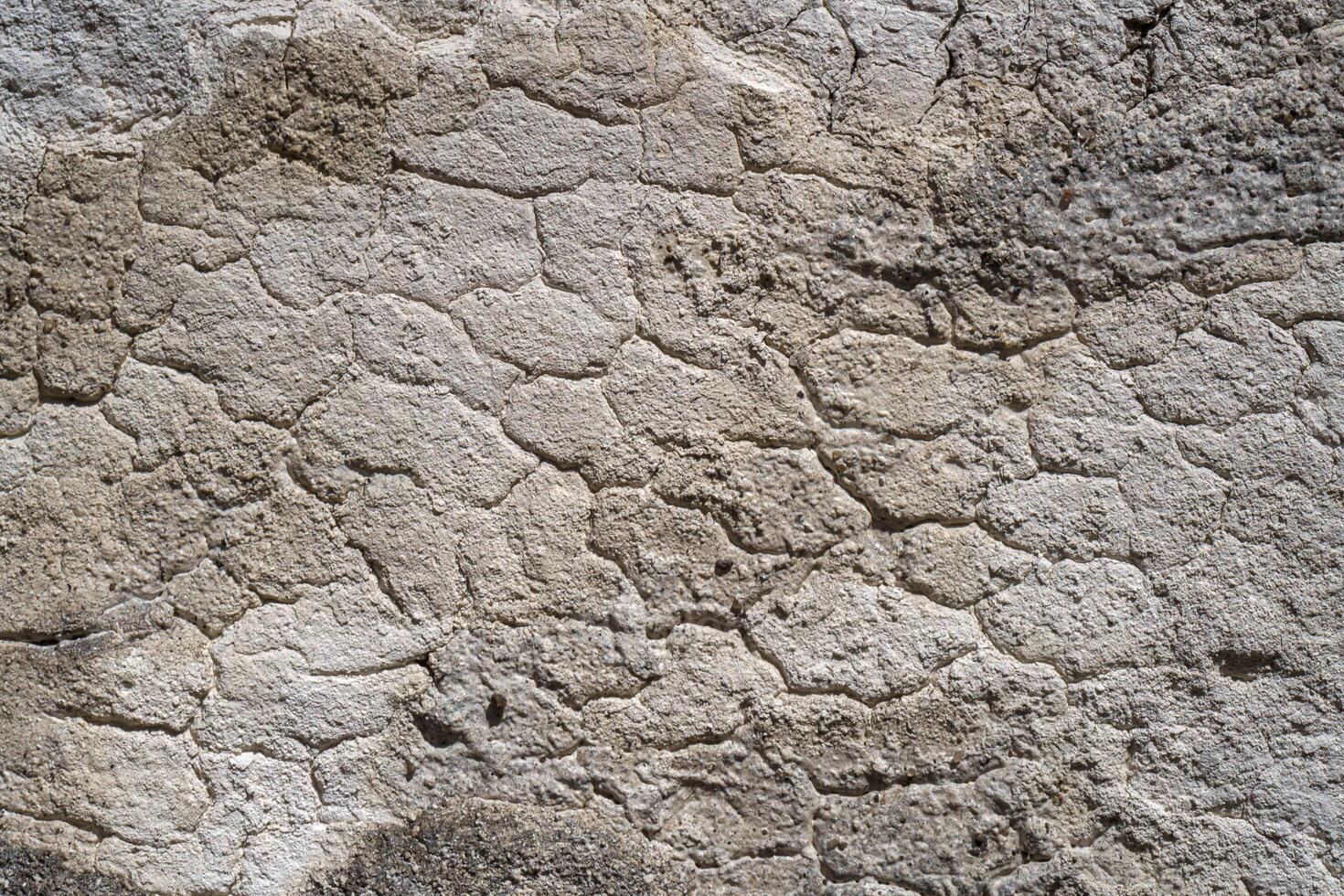 Texture of gray rough plaster. Abstract design background. photo