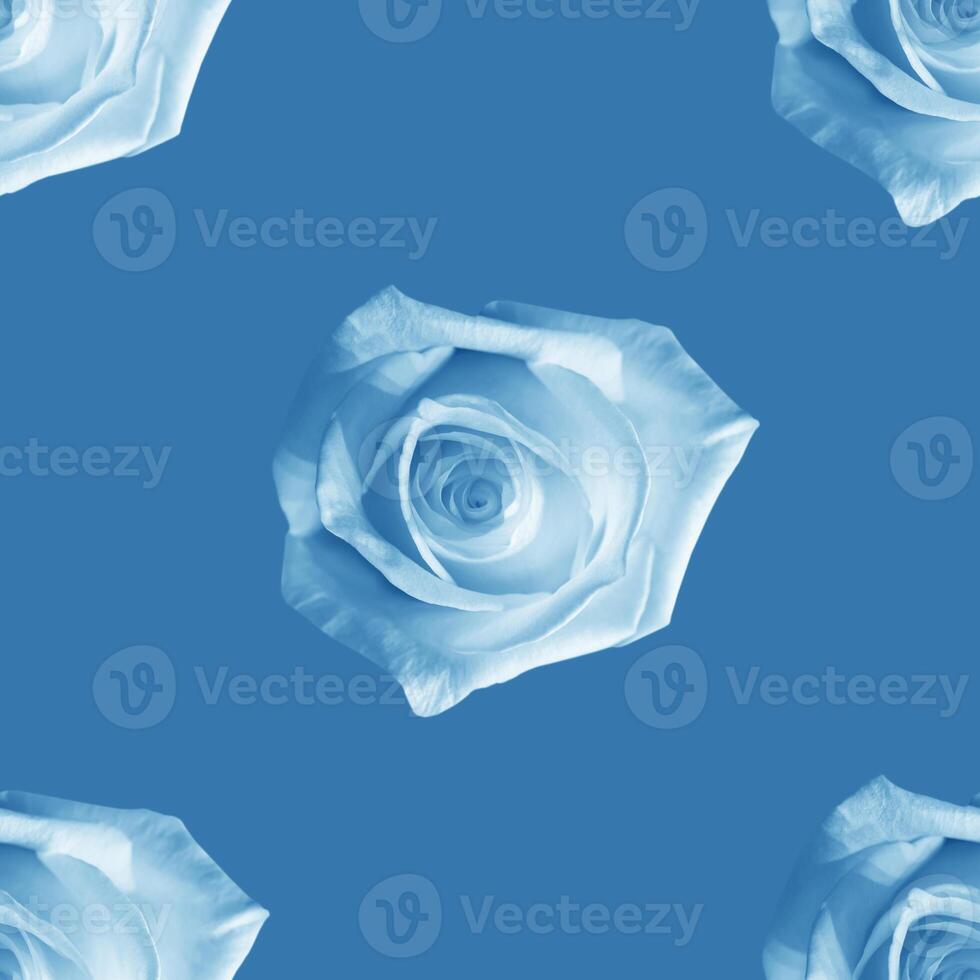 Beautiful white rose flowers. Blooming roses seamless pattern. Floral natural background. photo