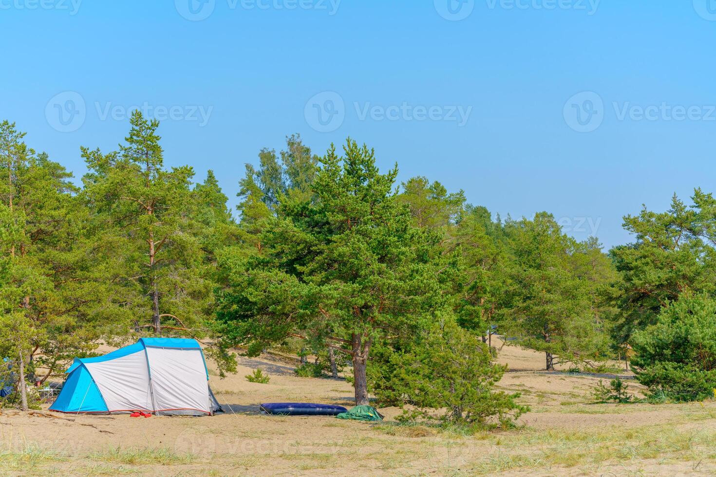 Tourist green tent on the lake. Journey to the wild places of nature. photo