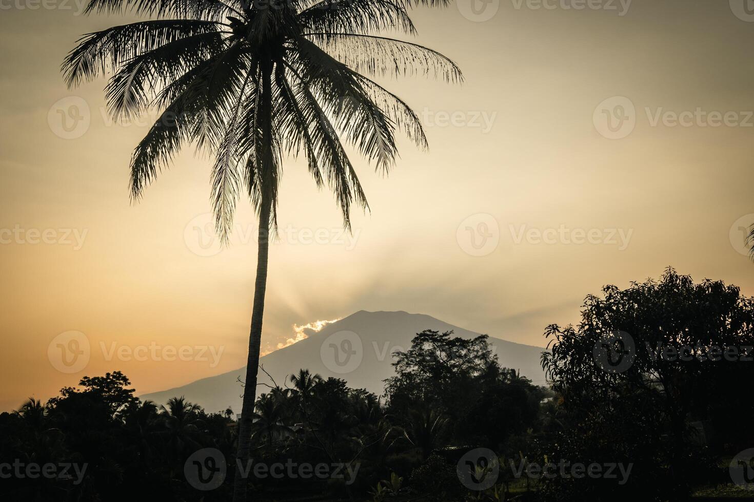 Silhouettes of coconut trees and mountains in the background photo