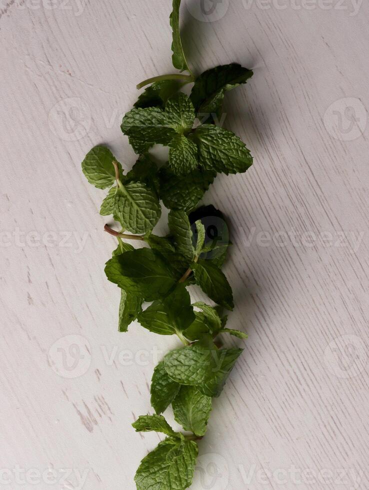 fresh mint leaves peppermint spice leaf plant antioxidant vegan business photo health herb food art