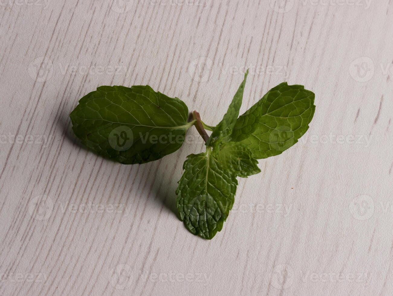 fresh mint leaves peppermint spice leaf plant antioxidant vegan business photo health herb food art