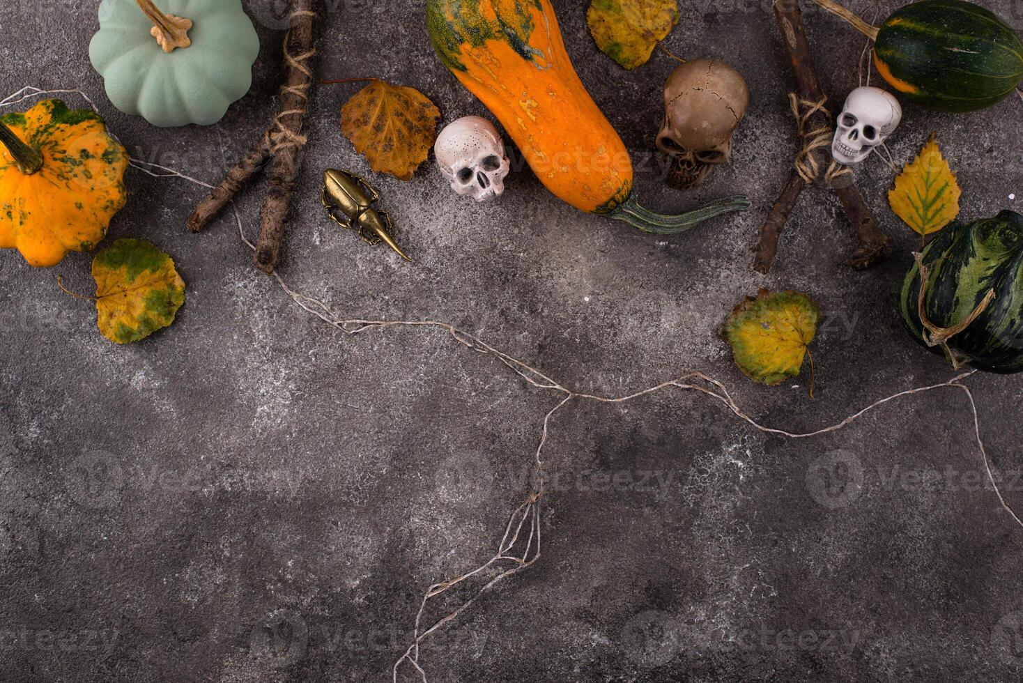 Halloween composition with skull and pumpkins photo