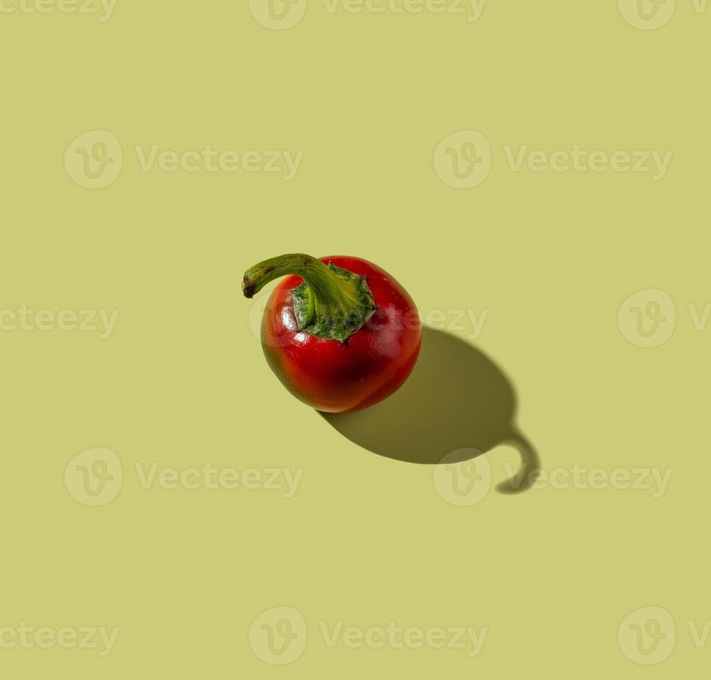 Red peper with hard shadow, isolated photo