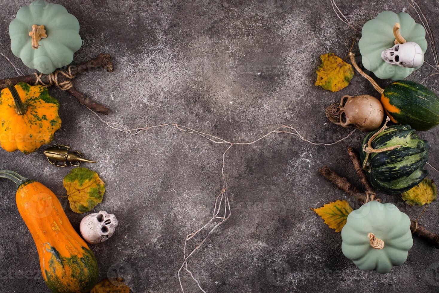 Halloween composition with skull and pumpkins photo