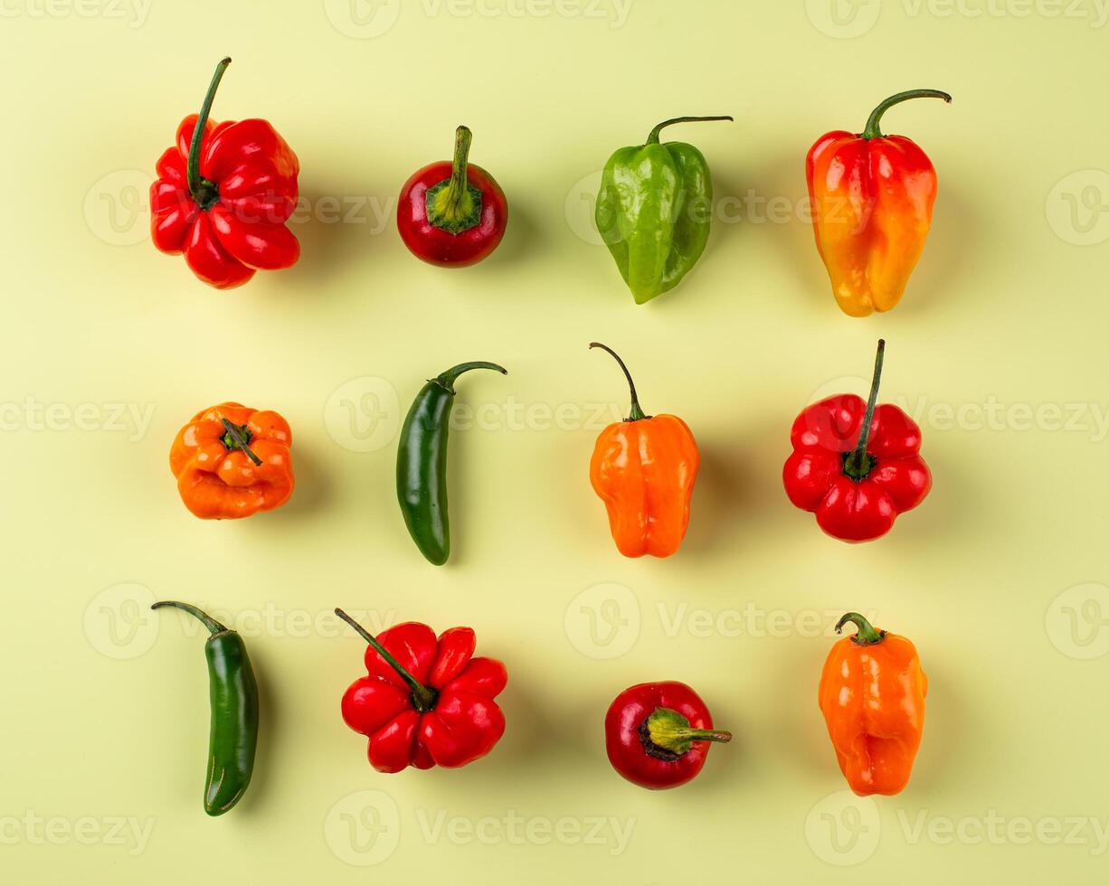 Colorful peper on green background photo