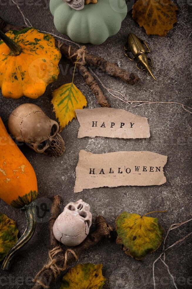 Halloween composition with skull and pumpkins photo