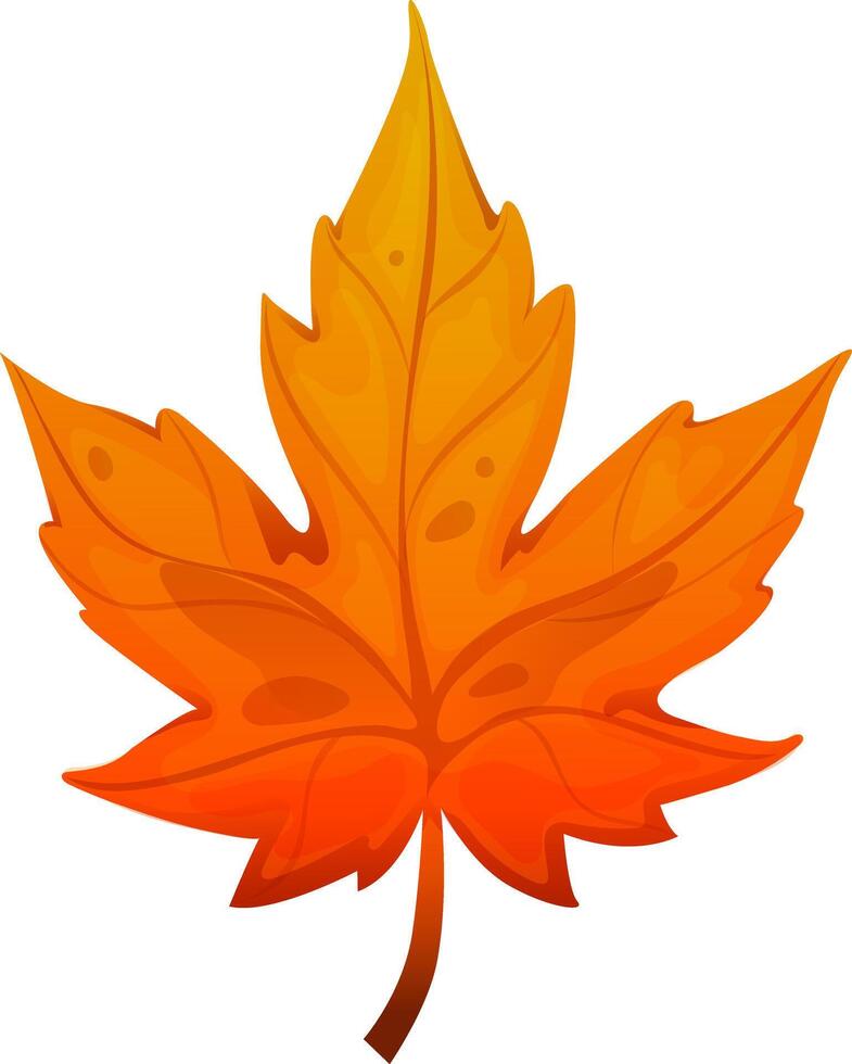 Beautiful maple leaf on isolated white background. Leaf cartoon. vector