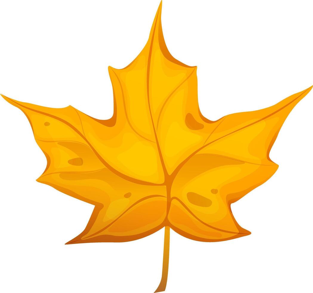 Beautiful cartoon maple leaf. Yellow leaf on isolated white background. Autumn leaf. Leaf cartoon. vector