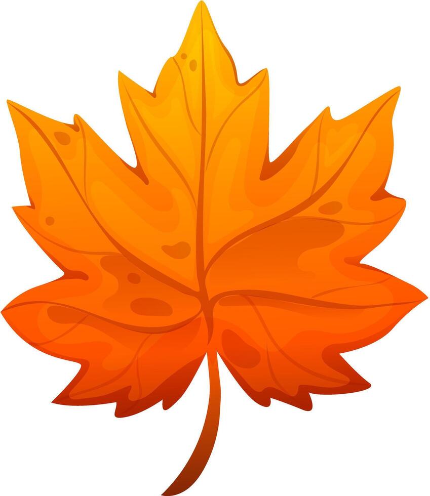 Orange autumn leaf. Maple leaf on isolated white background. Leaf cartoon vector