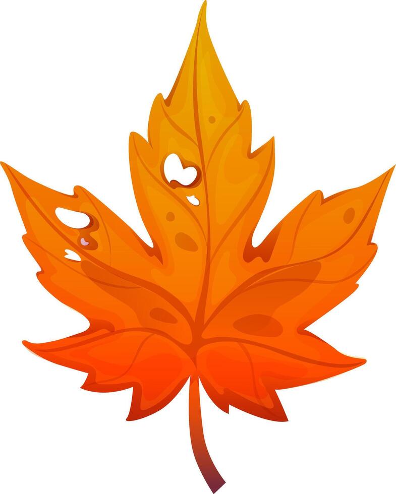 Colorful autumn leaf on isolated white background. Leaf in cartoon style vector