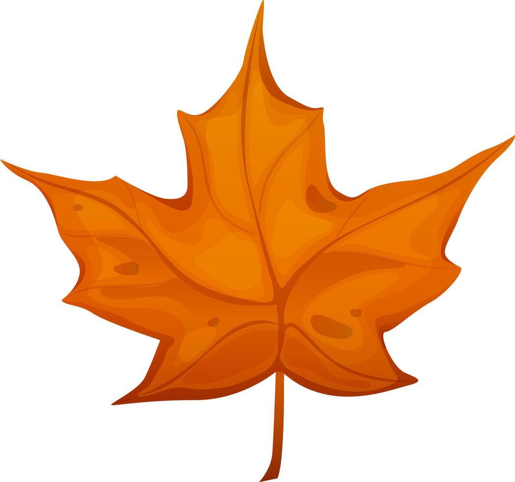 Autumn leaf in warm colors. Maple leaf on isolated white background. Leaf in cartoon style vector