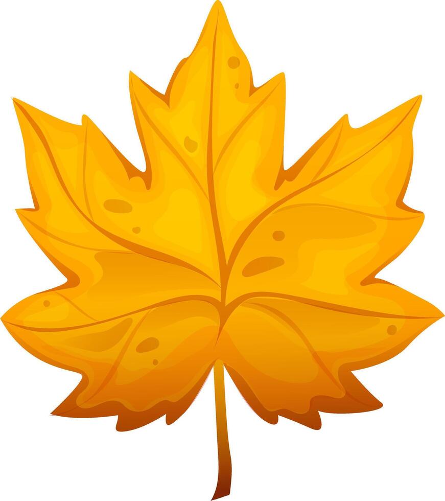Yellow autumn leaf. Beautiful cartoon maple leaf in cartoon style vector