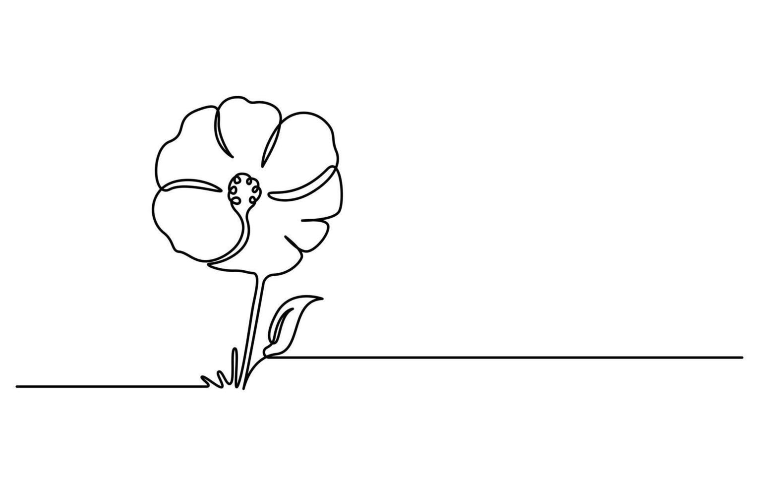 Poppy flowers in continuous line art drawing style vector