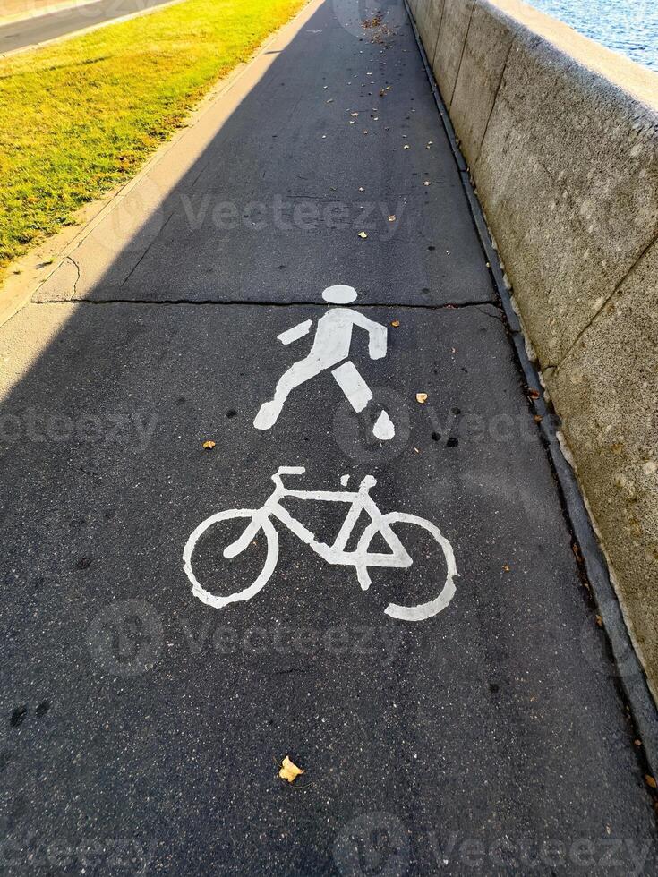 A close-up of a pavement showing white markings for pedestrians and cyclists. The markings clearly designate a shared path for walking and cycling, seen on an asphalt surface with scattered autumn photo