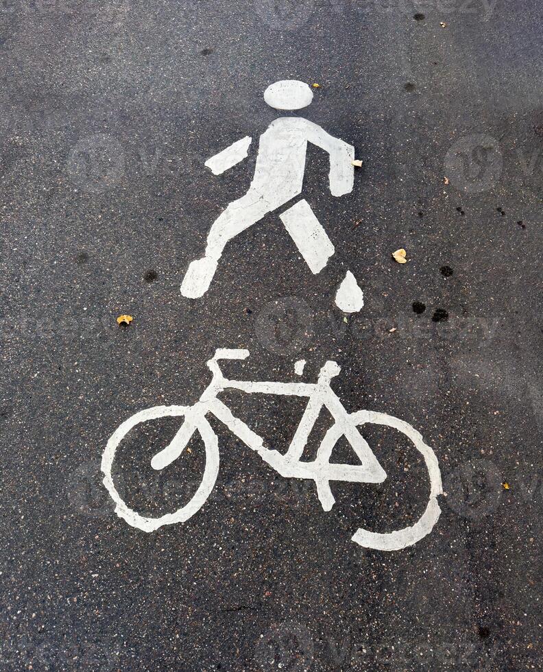A close-up of a pavement showing white markings for pedestrians and cyclists. The markings clearly designate a shared path for walking and cycling, seen on an asphalt surface with scattered autumn photo