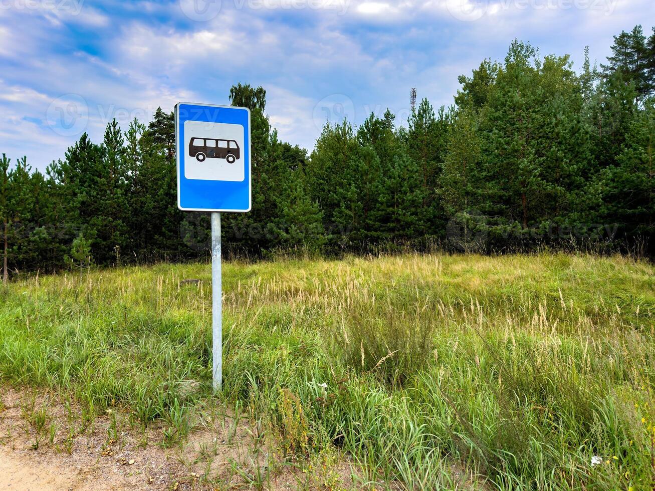 A bus stop sign stands on the side of a quiet rural road, surrounded by grassy fields and a backdrop of dense pine trees. The blue sky with scattered clouds adds a peaceful atmosphere to the scene photo