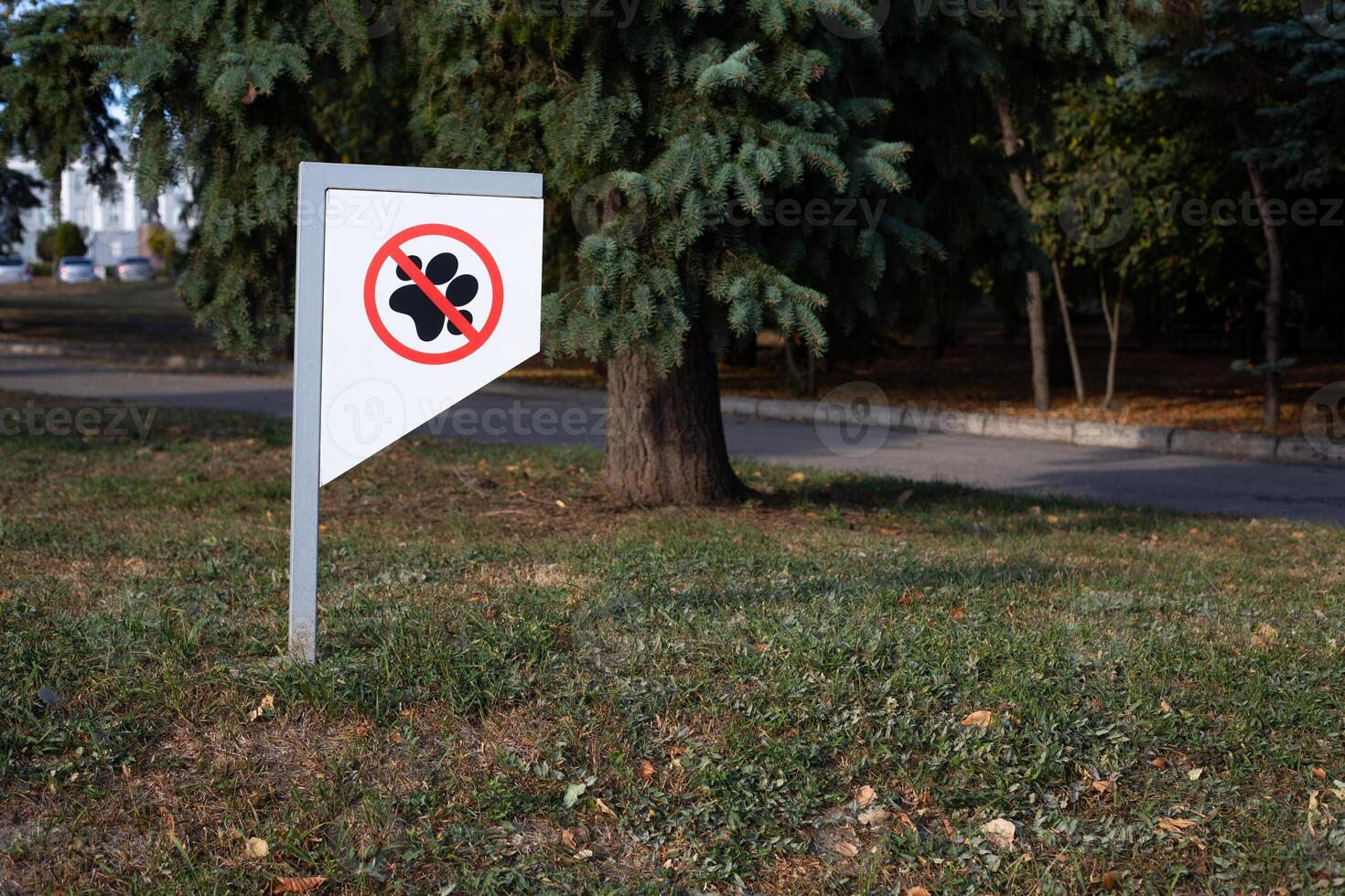 Sign on park lawn prohibiting walking dogs, rules for pet owners photo