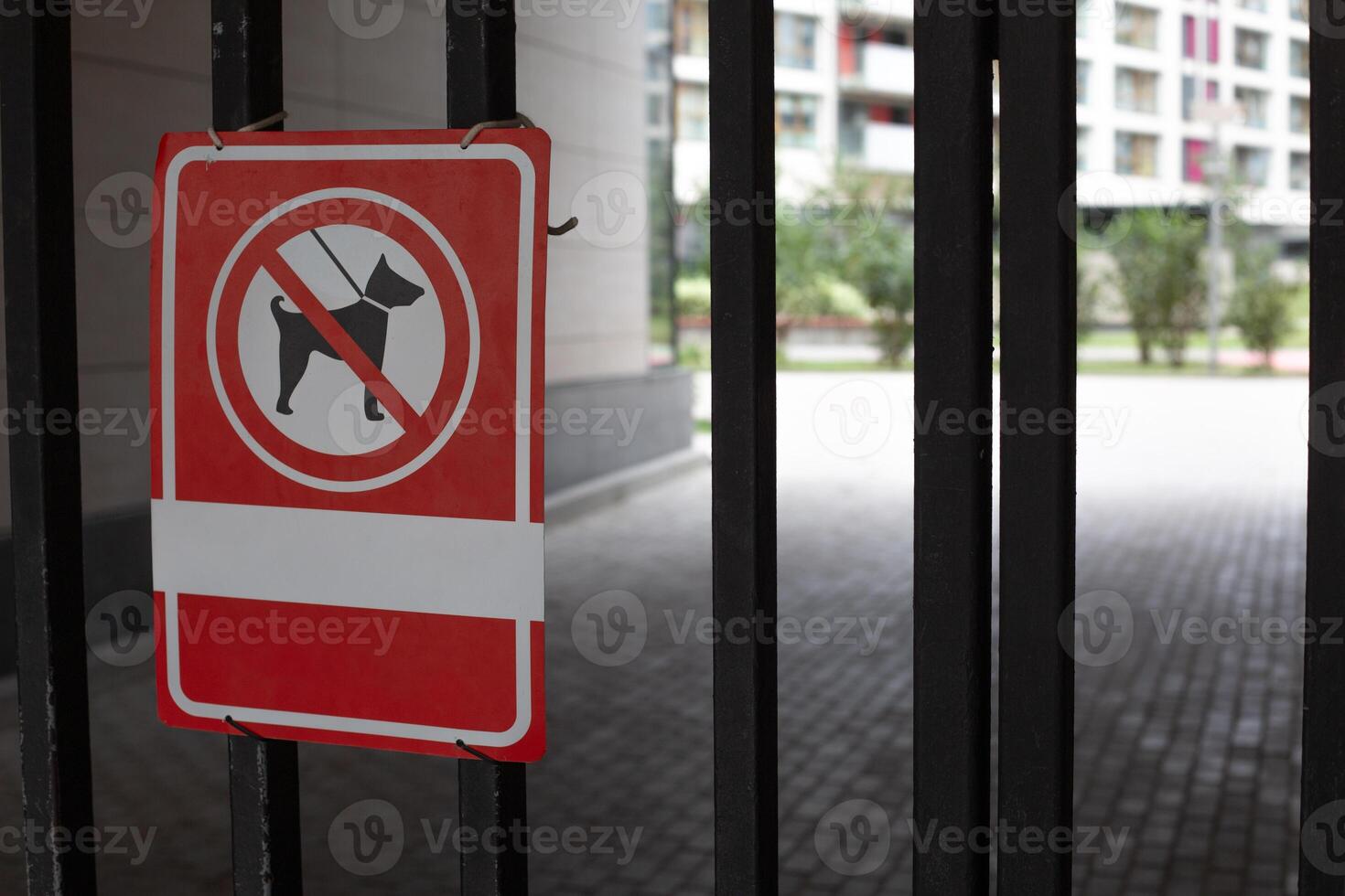 Sign prohibiting entry with dogs on metal fence in front of the entrance to the courtyard of the building. Restriction on admission of dogs on street in special dog free zone photo