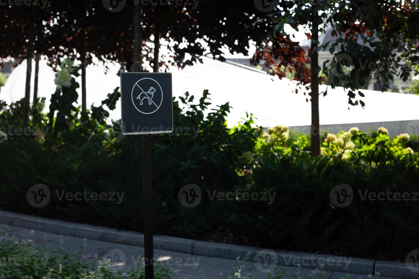 Sign prohibiting dogs from walking in park, decorative public park prohibiting dogs from walking on territory, cleanliness and care for plants in the park photo