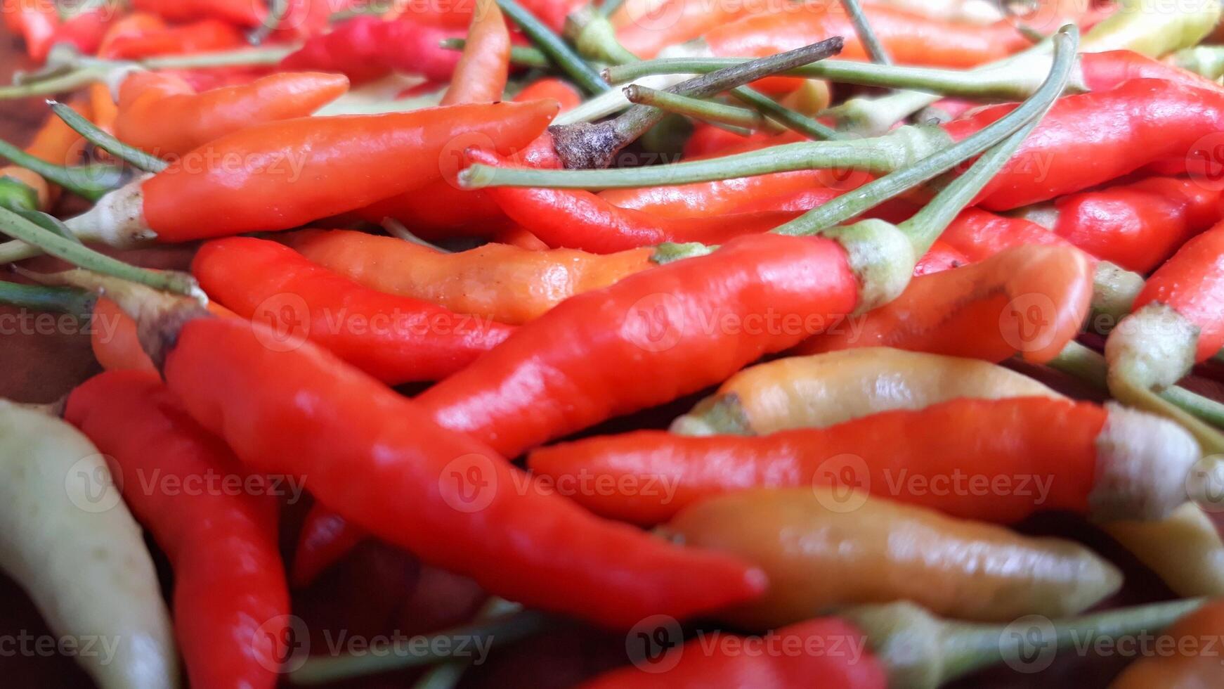 A pile of red and orange peppers on a table photo