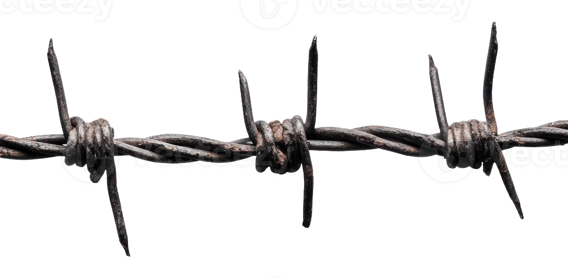 Barbed wire close-up during daylight hours png