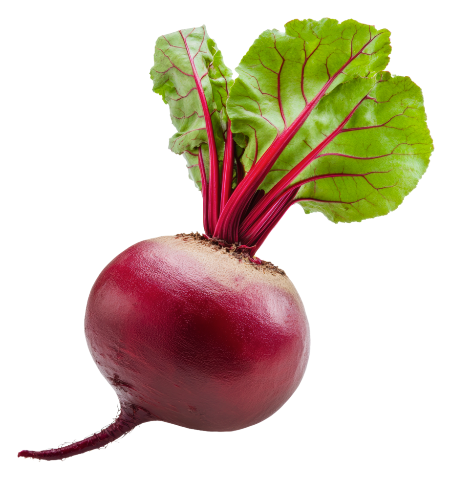 fresco vermelho beterraba com verde folhas em exibição png