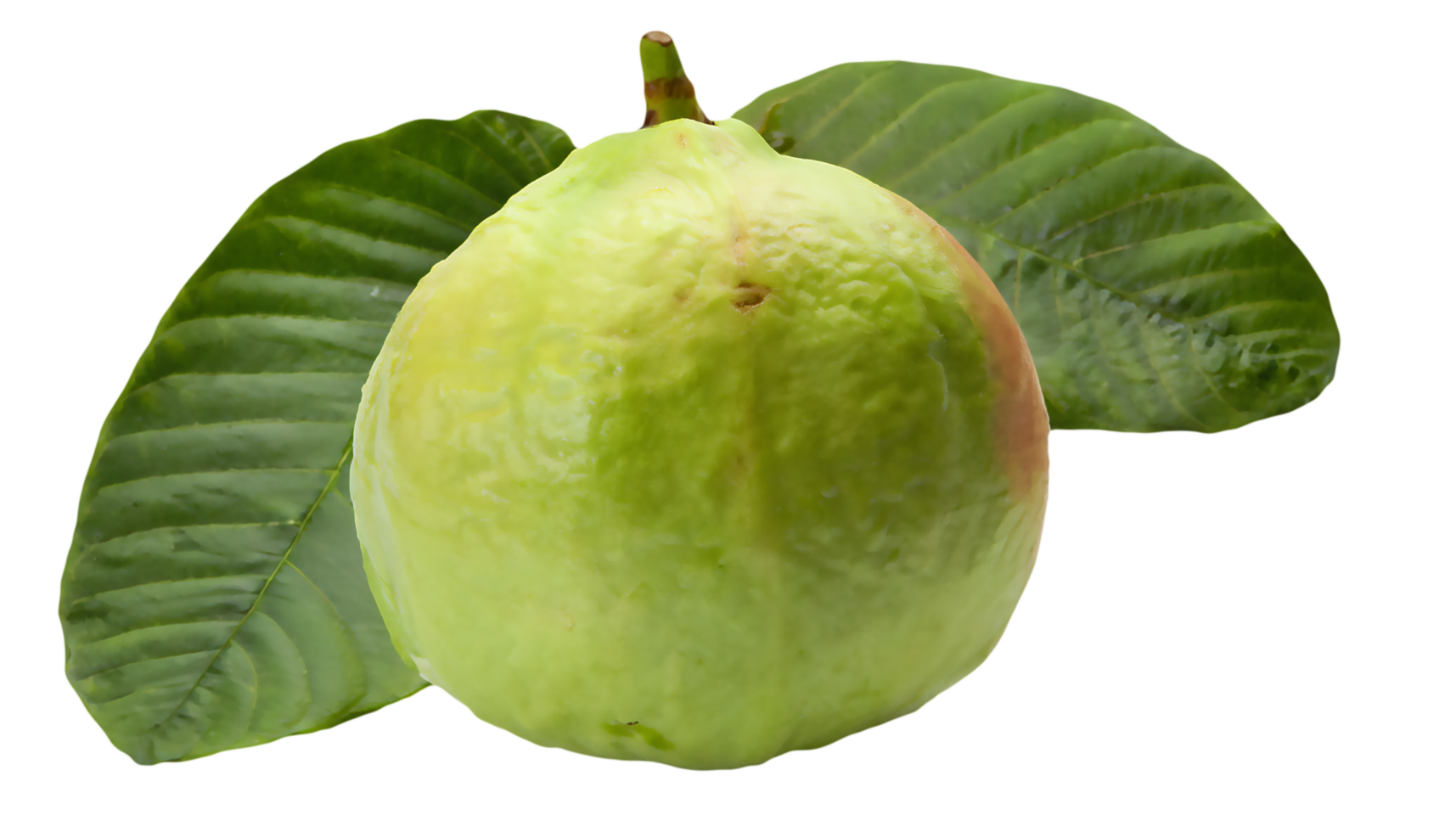 A Guava on a transparent background. Fruit graphic elements png