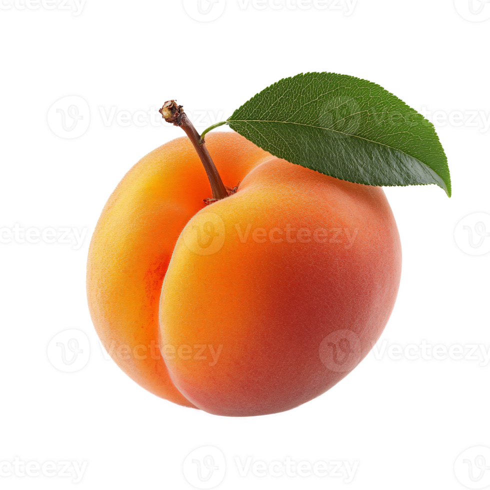 Apricot fruit with green leaves, isolated on the transparent background png