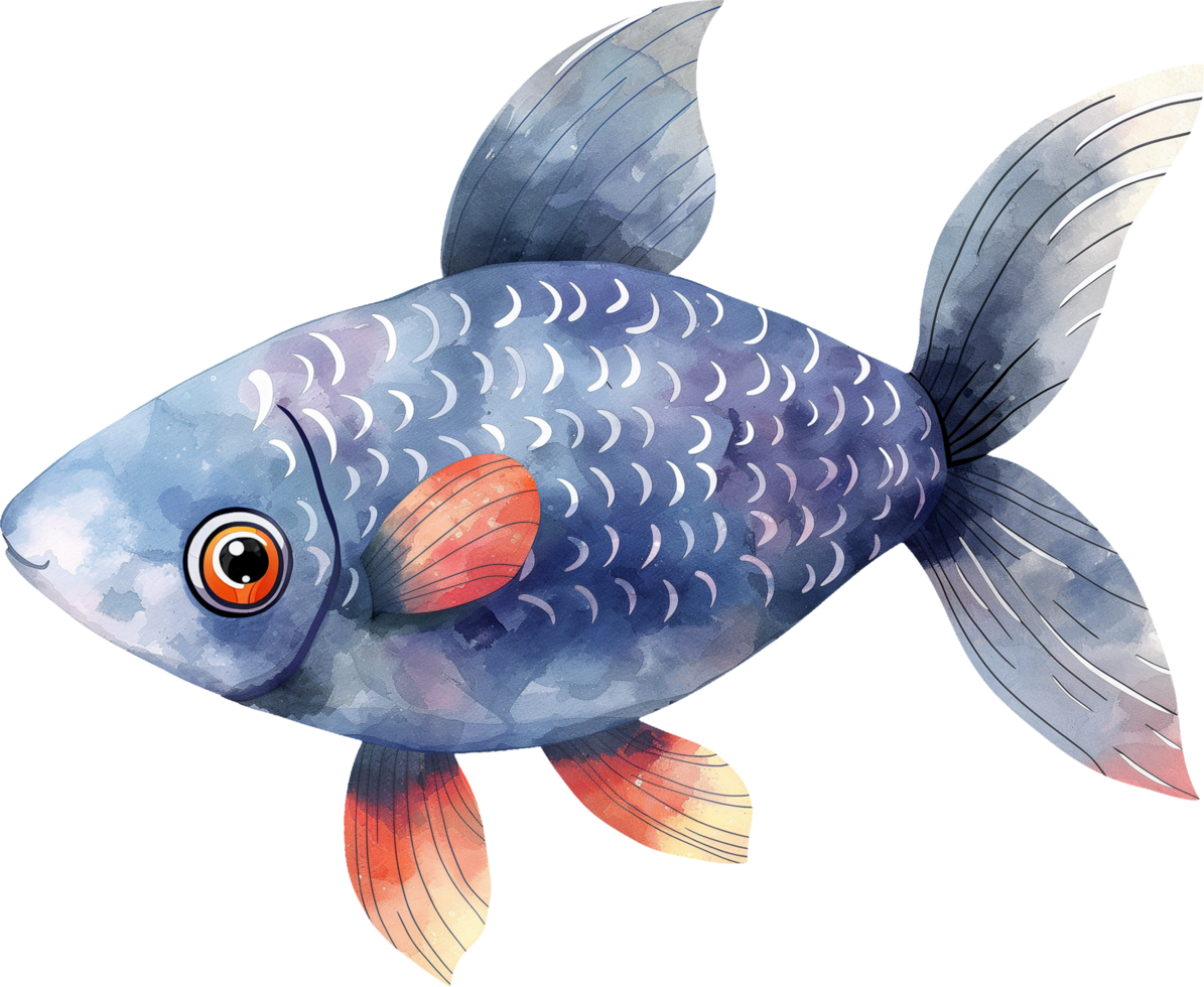 A blue fish with orange fins and a red tail png